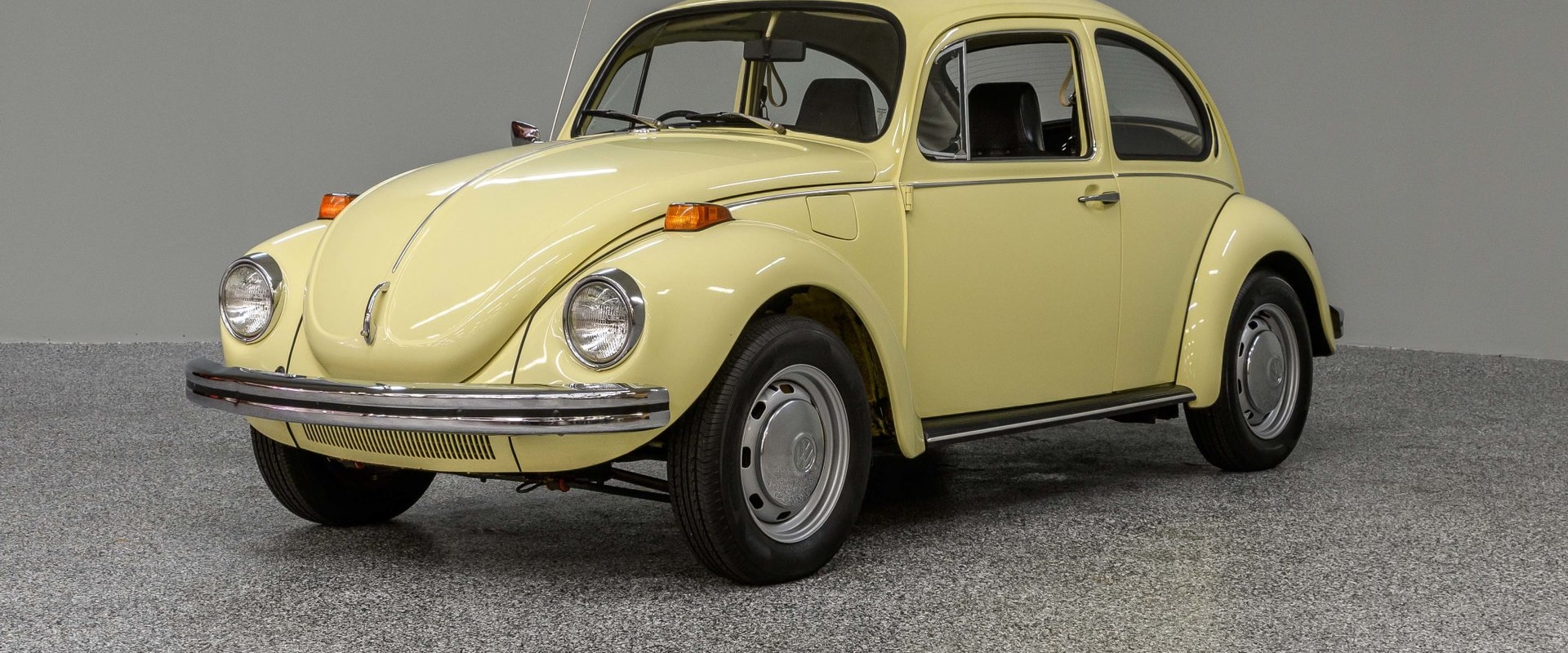 Beetle Models for Sale in the US