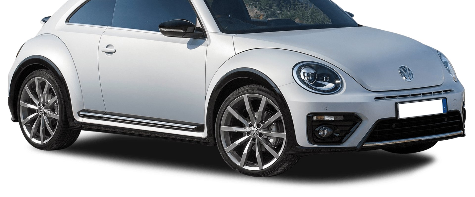 Beetle Models for Sale in Asia