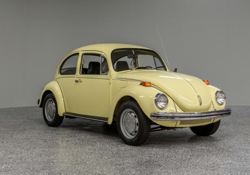 Beetle Models for Sale in the US